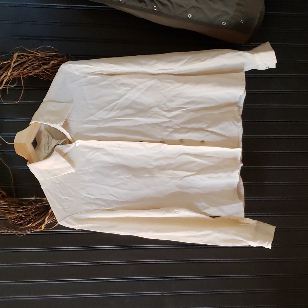 100% silk blouse